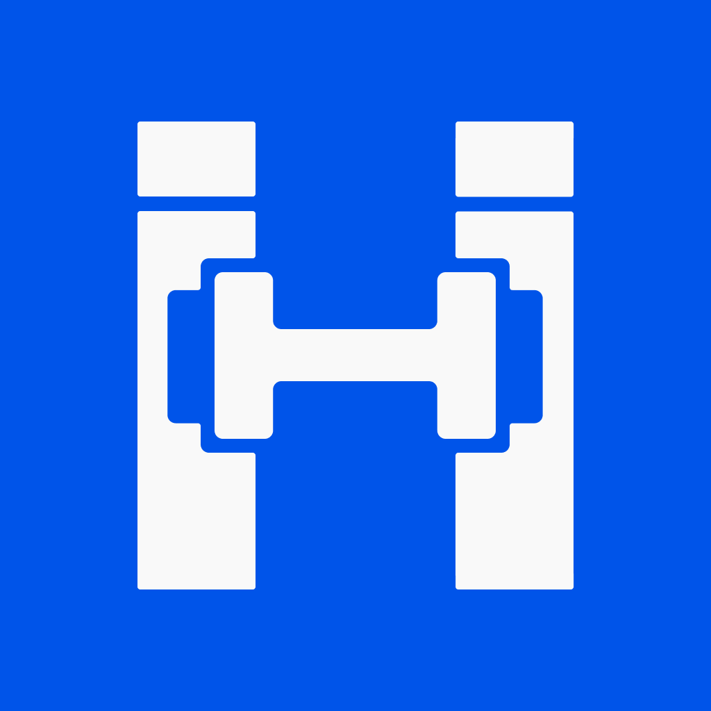 Iron Insights Logo